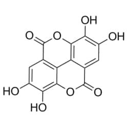 50-208-2400