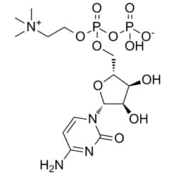 50-208-2653