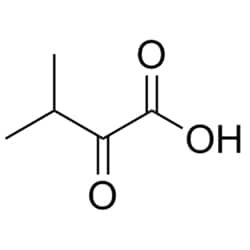 50-197-0646