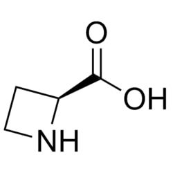 50-208-3487