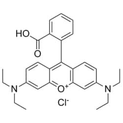50-193-4667