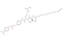 NC1655536