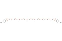 NC1662557
