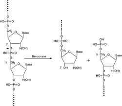 NC0253403