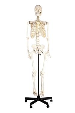 Img