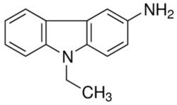 NC9939199