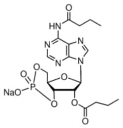 NC0338844