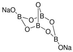 NC9952806