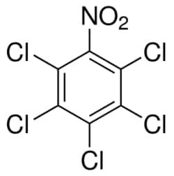 501840503