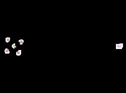 NC1822798