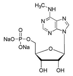 NC1144604