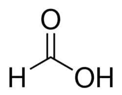 NC1244233