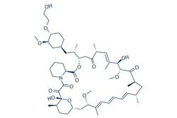 NC0544759