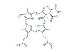 NC1119133
