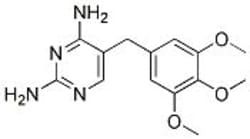 50-194-8107