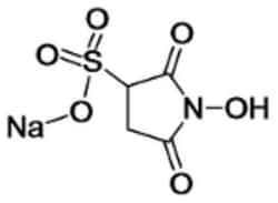 NC0224431
