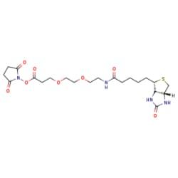 NC1233076