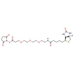 NC1555209