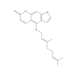 50-193-3894