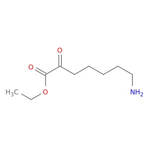 BO57988