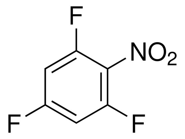 261807