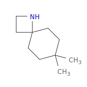 BL55559