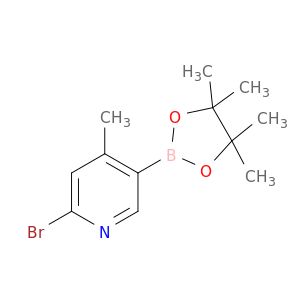 AE63559