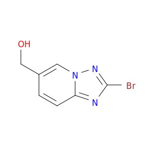 BM57234