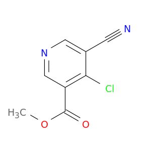 BM04203