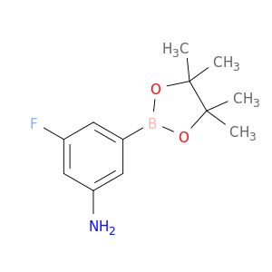 AI55331