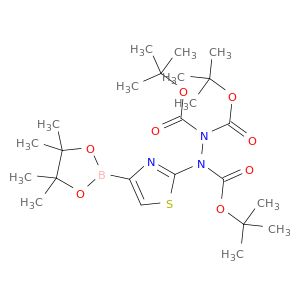 AY09026