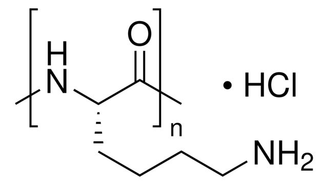 P2658