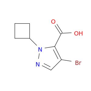 BL65460