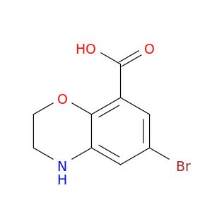 BZ60606