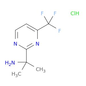 AY05482