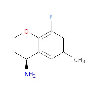 BW65566