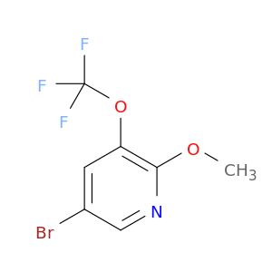 AE66373