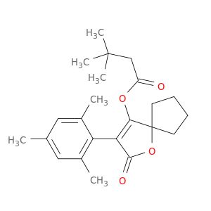 AW55534