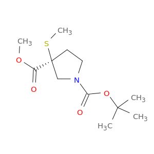 AY07654