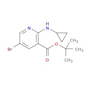 BO89438