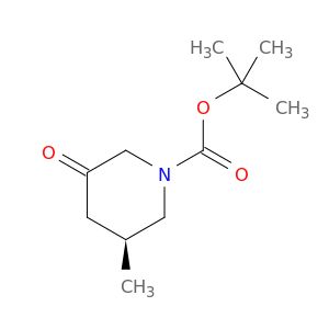 AE81555