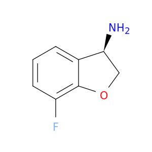 AE65559
