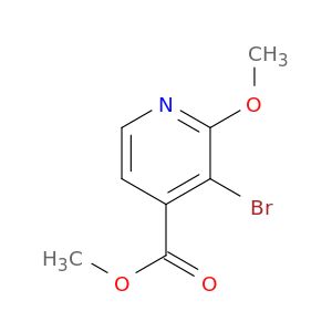 BM24746