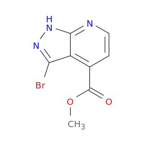 BL24894