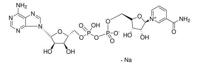 N0632