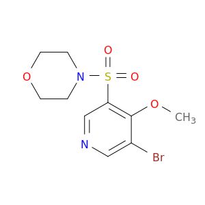 BM08447