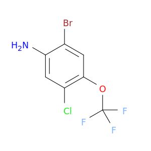 BF84921