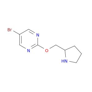 BK92346