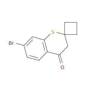 BM24441