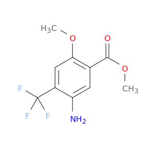 AY23984